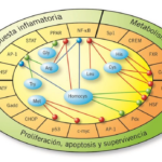 Captura de pantalla 2024-11-26 a las 20.34.46