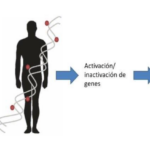 Captura de pantalla 2024-11-26 a las 20.35.05
