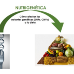 Captura de pantalla 2024-11-26 a las 20.35.38